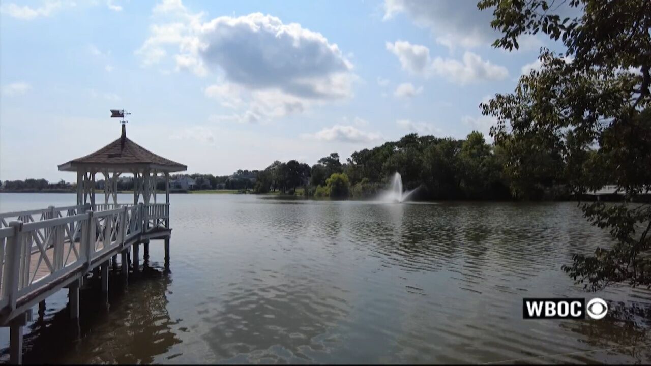 Should the Fountains at Rehoboth Beach's Silver Lake Stay or Go?